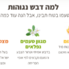 דבש מפרחי בר מהגולן - Image 5