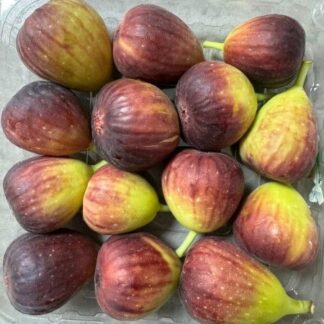 תאנים