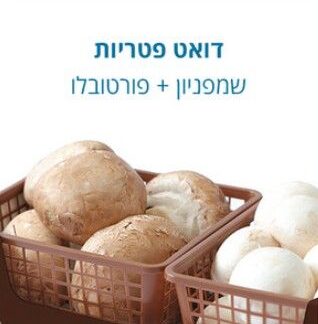 דואט פטריות
